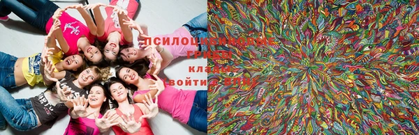 молекула духа Кукмор