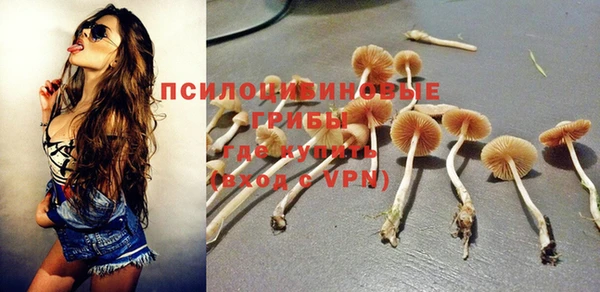 герыч Кулебаки