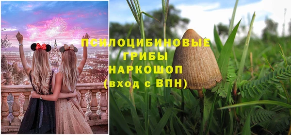 герыч Кулебаки