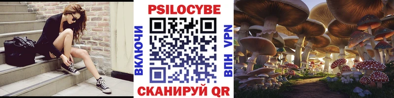 Псилоцибиновые грибы GOLDEN TEACHER  Дмитров 