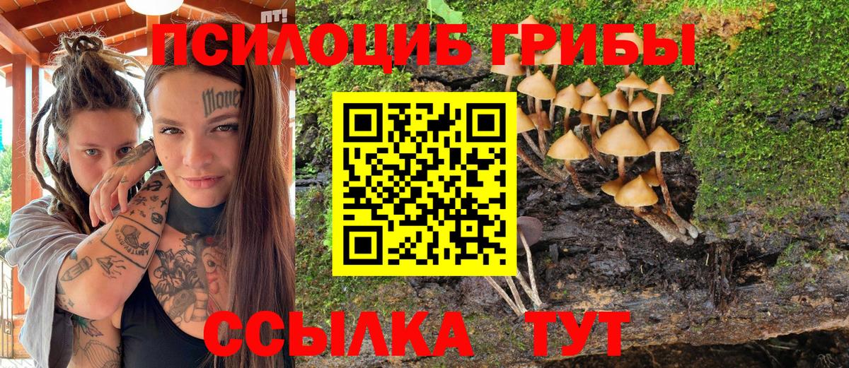 Псилоцибиновые грибы MAGIC MUSHROOMS Дмитров