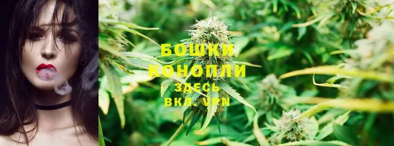 Конопля Ganja  купить   Дмитров 